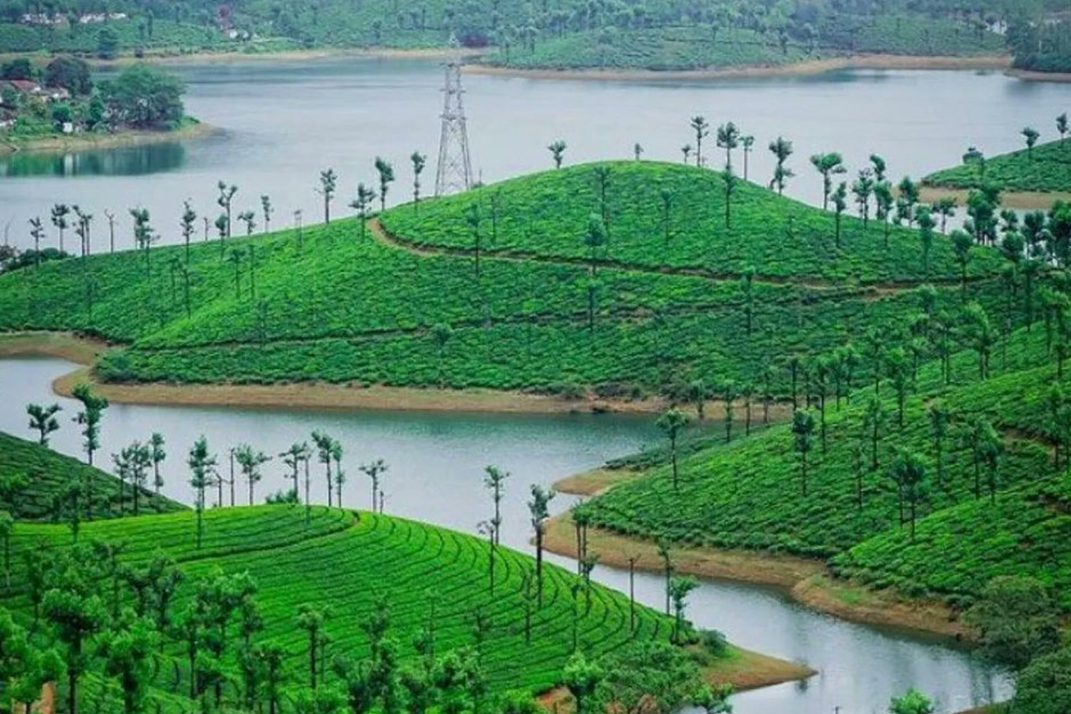 Nature escapes